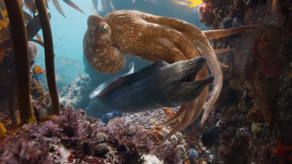 Phim quảng cáo BMW Heart of Joy  là một trong những dự án hoạt hình đầy tham vọng. Ảnh: Internet